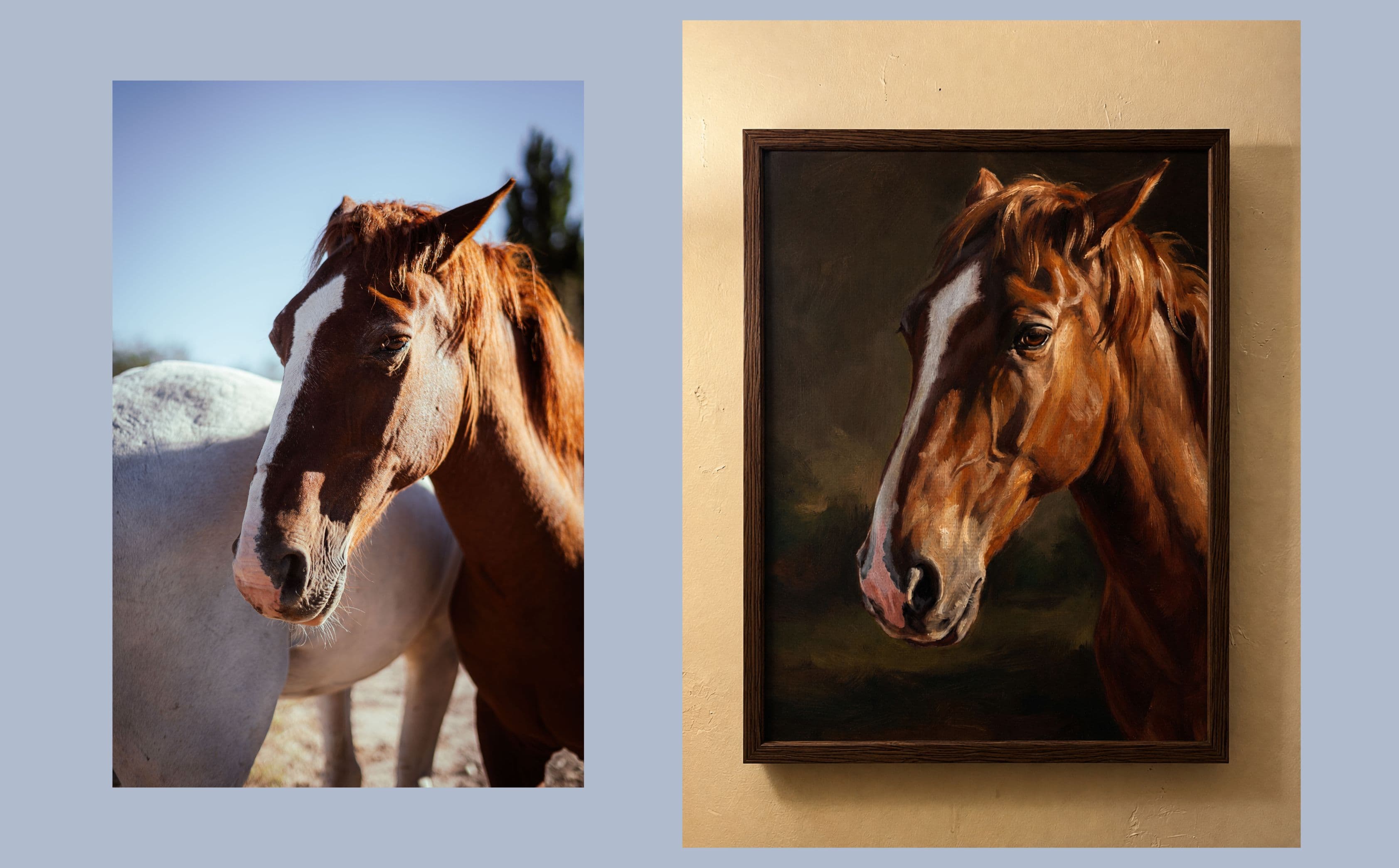 horse2, before and after