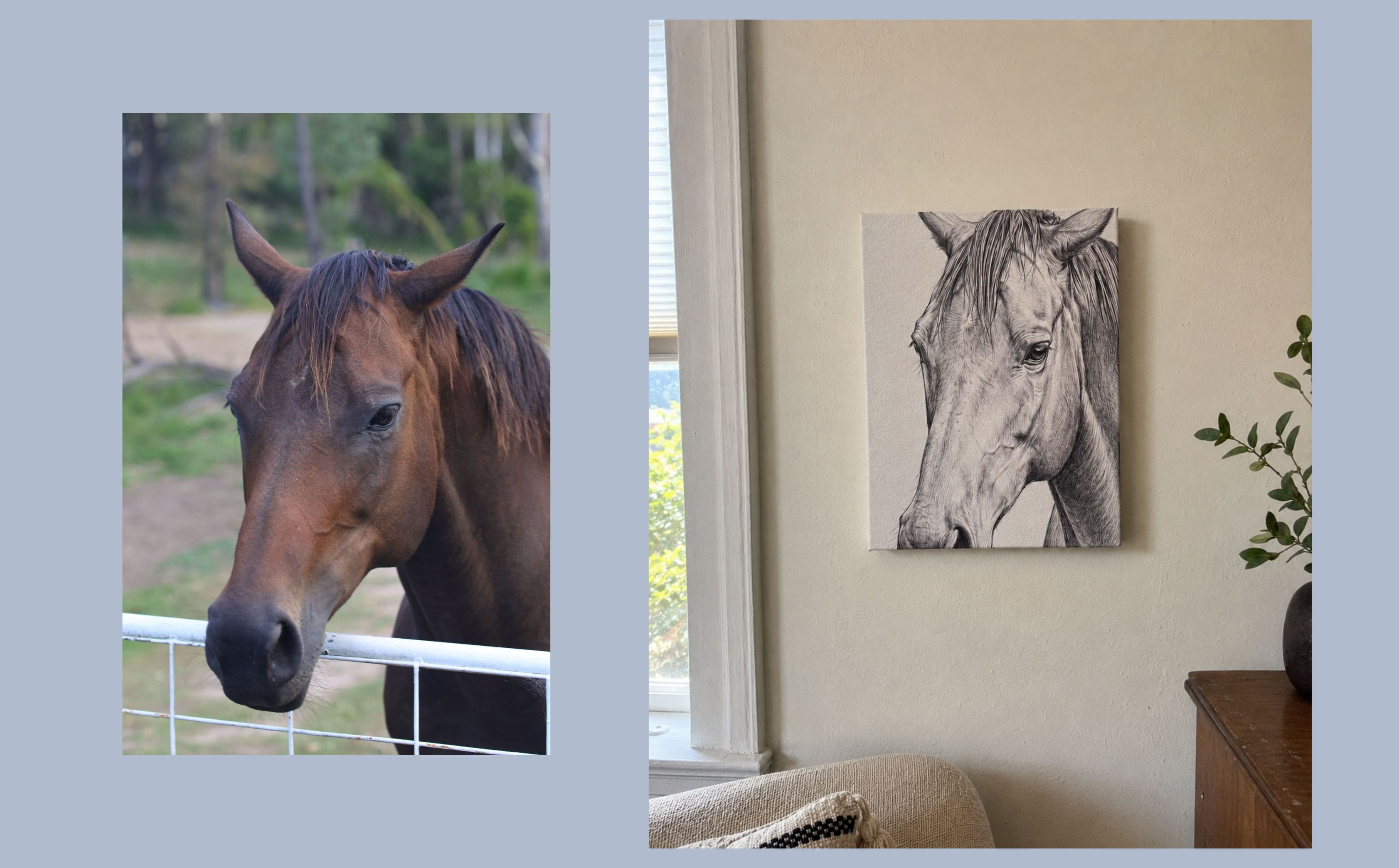 horse4, before and after