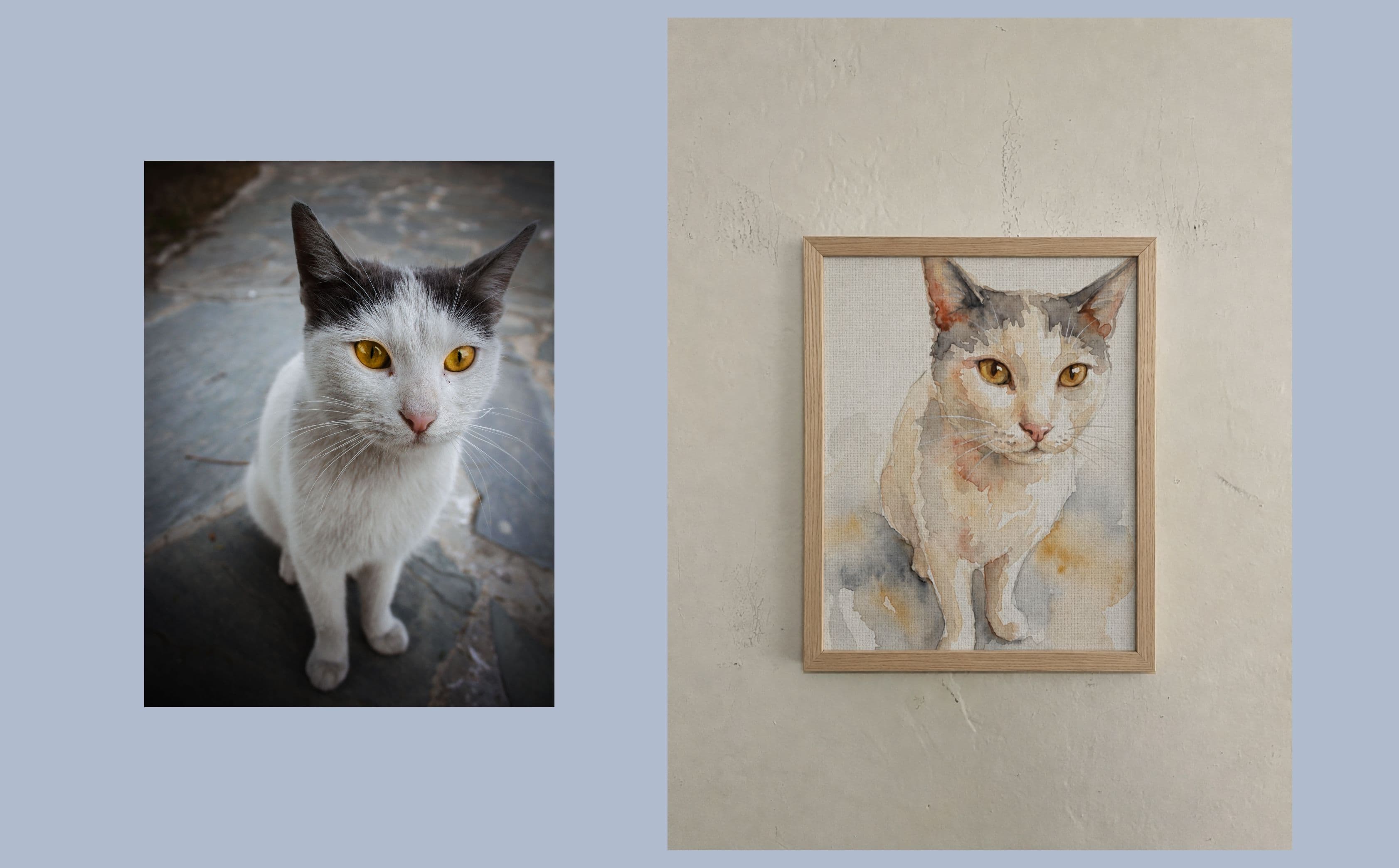 cat3, before and after