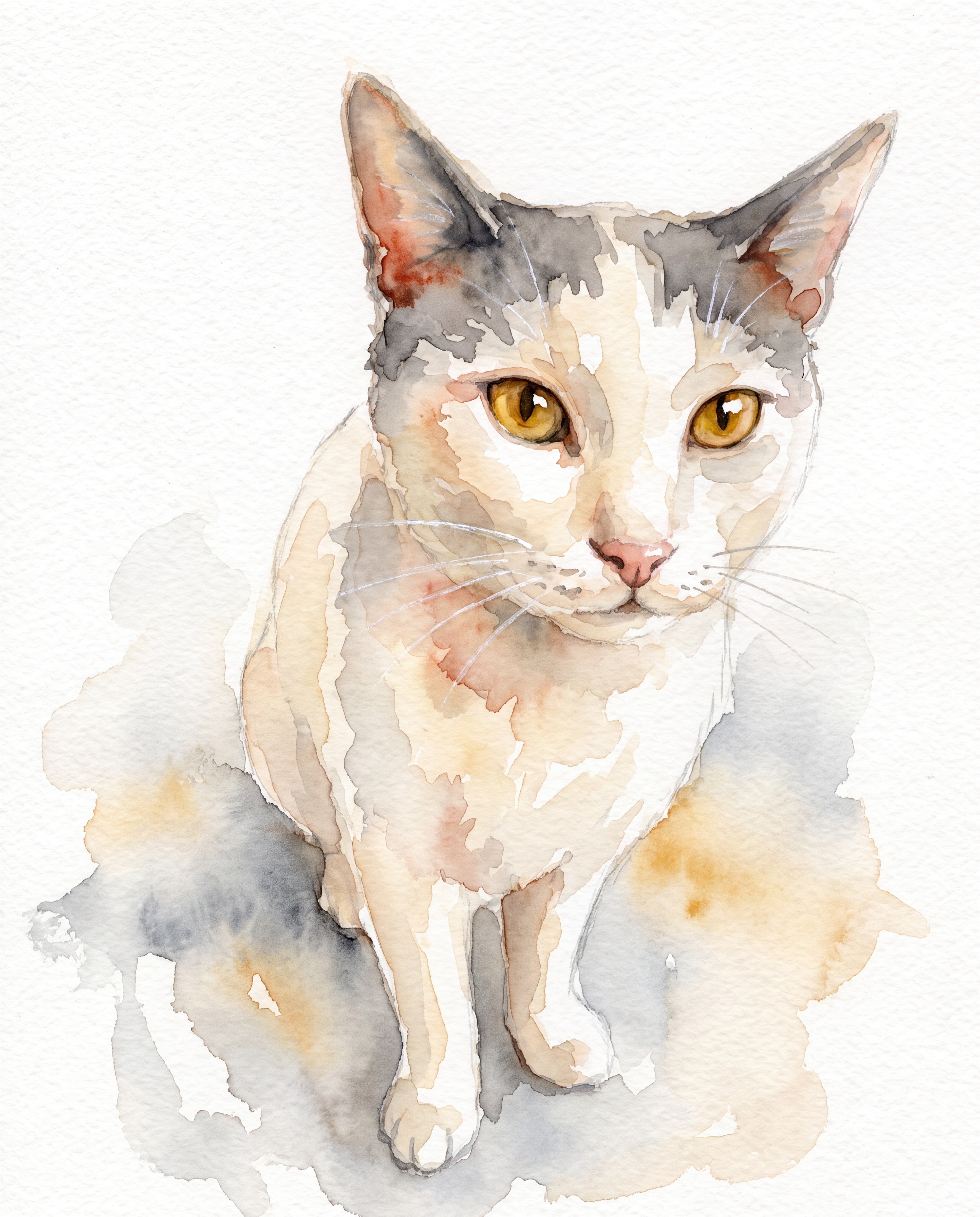cat3, finished artwork