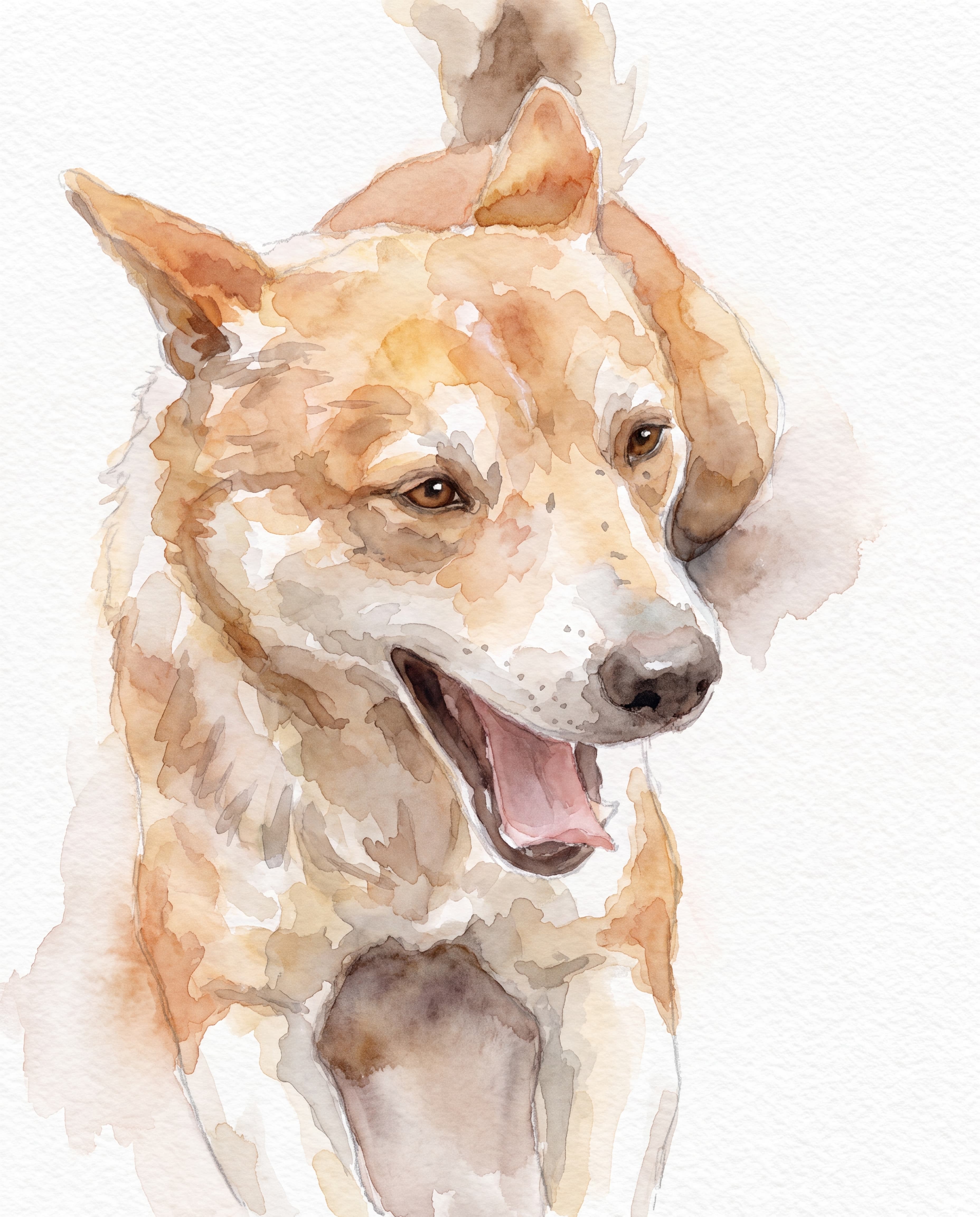 dog1, finished artwork