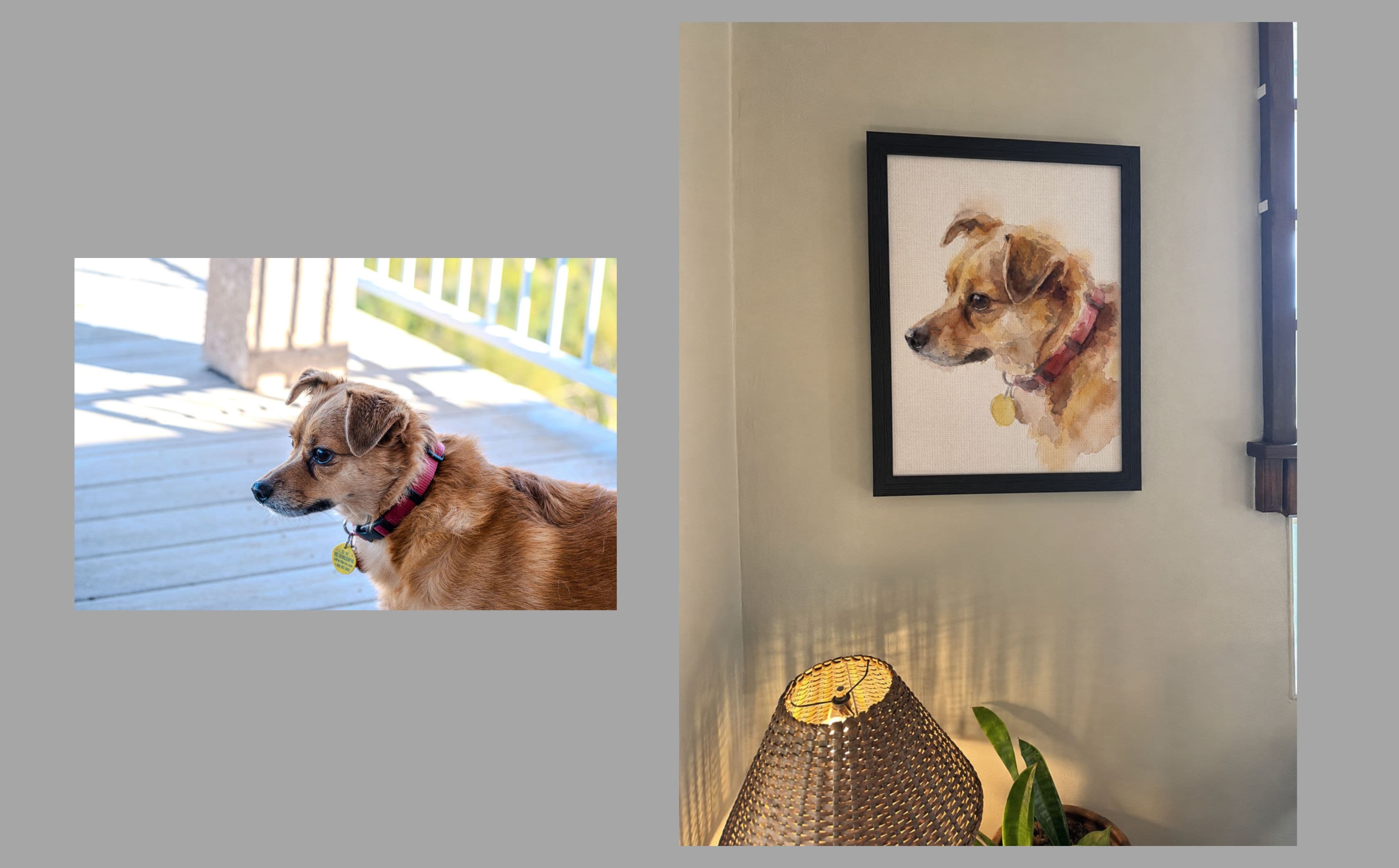 dog2, before and after